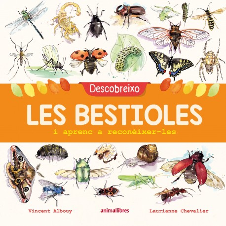 Descobreixo les bestioles i aprenc a reconèixer-les