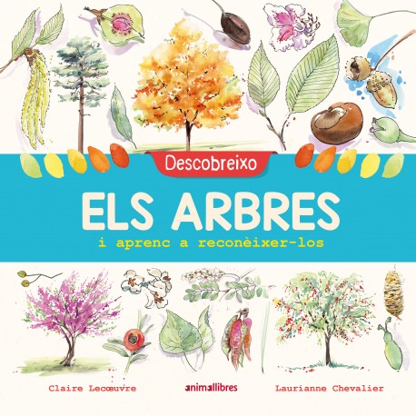 Descobreixo els arbres i aprenc a reconèixer-los