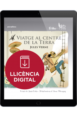 Viatge al centre de la Terra