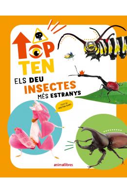 Top Ten Els deu insectes més estranys