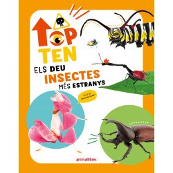 Top Ten Els deu insectes més estranys