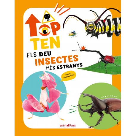 Top Ten Els deu insectes més estranys