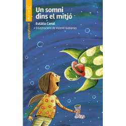 Un somni dins el mitjó