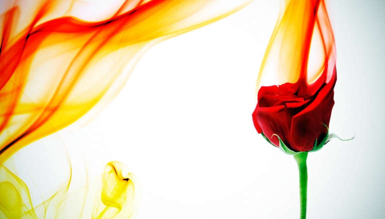 Els Tiki-Taka a la Fira del Llibre Infantil de Bolonya