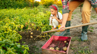 Del camp a l’aula, 9 de setembre, dia internacional de l’agricultura