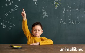 Benvinguts al Bloc d'Animallibres