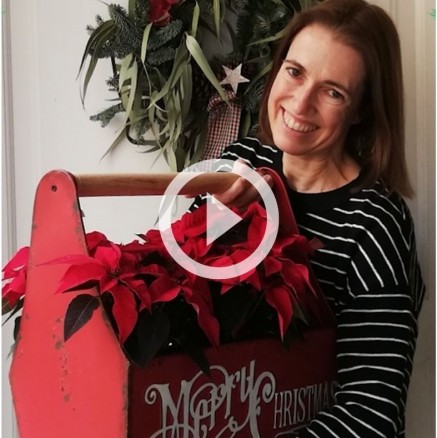 Els autors i autores d'Animallibres et feliciten el Nadal